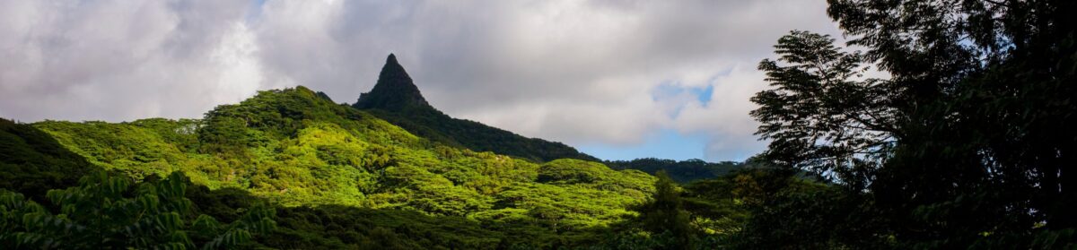 Internet Society Hawaii Chapter